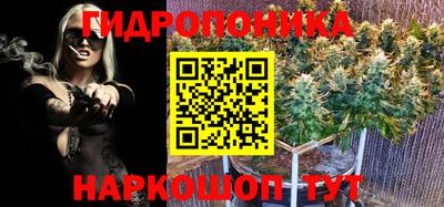 СК Канаш