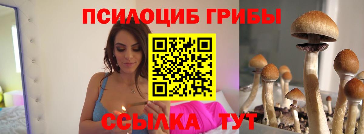 закладки  Галлюциногенные грибы прущие грибы  Вход с VPN  Корсаков 