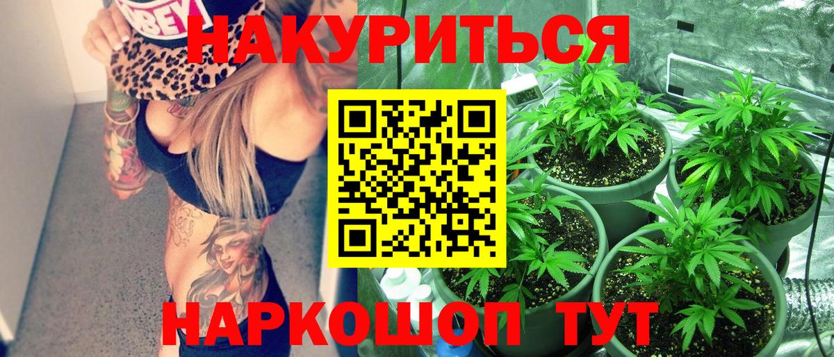 Бошки Шишки марихуана  Вход с VPN  Корсаков  Конопля конопля 
